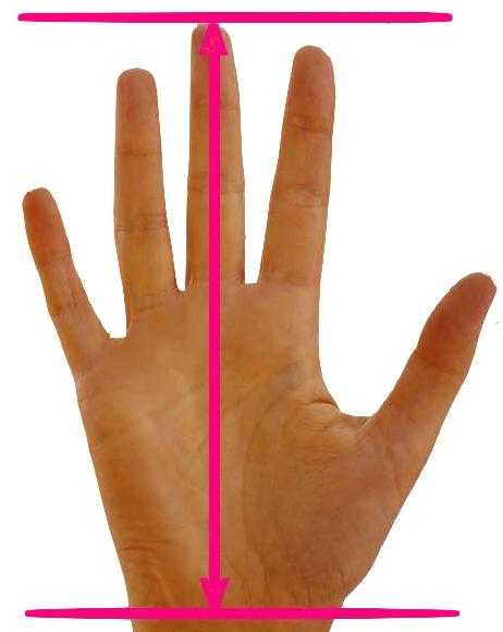 Gymnastics Ladies Uneven Bars Grips Size Chart