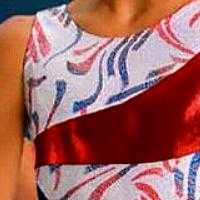 AMERICA SILVER FOIL