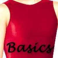 THE BASICS