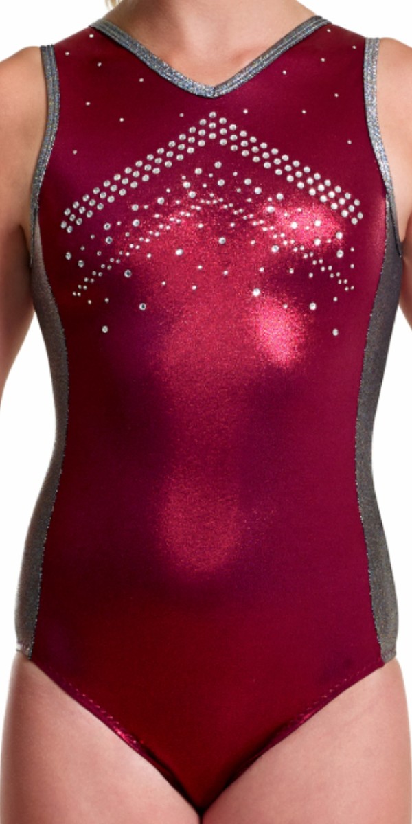 Alpha Factor Aerials gymnastics leotard leo from