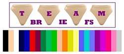 TEAM BRIEFS! OVER 20 COLORS! MODEST OR HIGH CUT! Minimum order 8