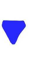 WHAT A BUY! SAPPHIRE BLUE HIGH CUT NYLON BRIEFS! while supplies last