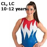 USA National Team Inspired and Replica Gymnastics Leotards CL