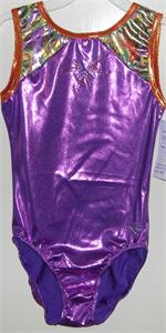 Dreamlight Activewear gymnastics leo leotard